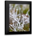 thumbnail image 1 of Berzel, Erin 11x14 Black Modern Framed Museum Art Print Titled - Winter Frost I, 1 of 5
