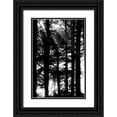 thumbnail image 1 of Berzel, Erin 11x14 Black Ornate Wood Framed with Double Matting Museum Art Print Titled - Light and Shadows II, 1 of 4