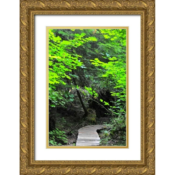 Berzel, Erin 11x14 Gold Ornate Wood Framed with Double Matting Museum Art Print Titled - Afternoon Hike II