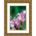 thumbnail image 1 of Berzel, Erin 11x14 Gold Ornate Wood Framed with Double Matting Museum Art Print Titled - Delicate Begonia II, 1 of 4