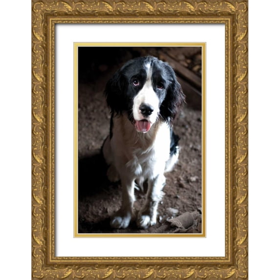 Berzel, Erin 11x14 Gold Ornate Wood Framed with Double Matting Museum Art Print Titled - Jake The Dog