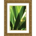 thumbnail image 1 of Berzel, Erin 11x14 Gold Ornate Wood Framed with Double Matting Museum Art Print Titled - Leaves and Light I, 1 of 4