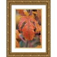 thumbnail image 1 of Berzel, Erin 11x14 Gold Ornate Wood Framed with Double Matting Museum Art Print Titled - Orange Leaves I, 1 of 4