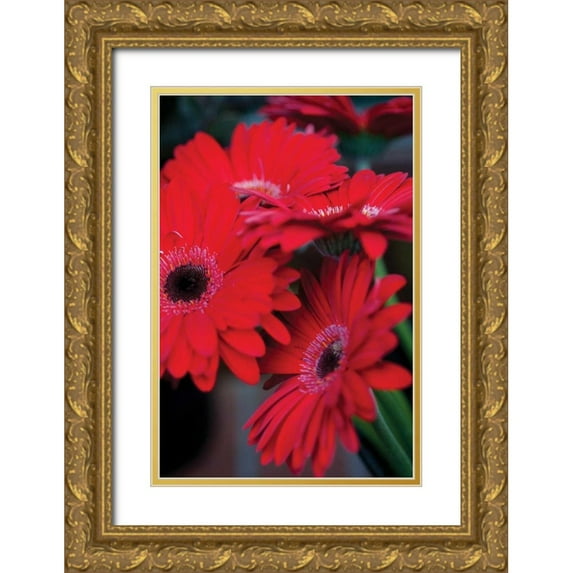 Berzel, Erin 11x14 Gold Ornate Wood Framed with Double Matting Museum Art Print Titled - Red Gerbera Daisies I