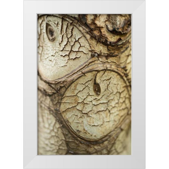Berzel, Erin 11x14 White Modern Wood Framed Museum Art Print Titled - Bark Detail