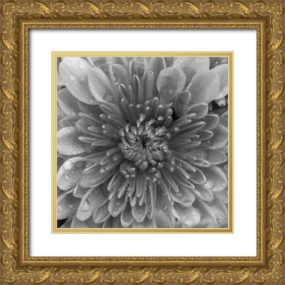 Berzel, Erin 12x12 Gold Ornate Wood Framed with Double Matting Museum Art Print Titled - BW Mum Sq II