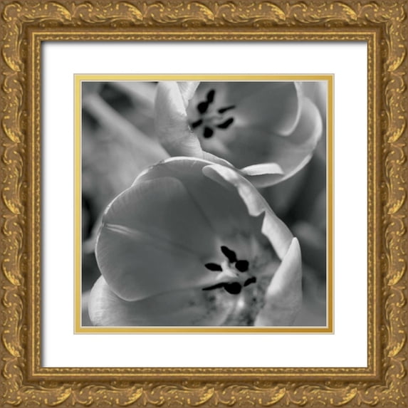 Berzel, Erin 12x12 Gold Ornate Wood Framed with Double Matting Museum Art Print Titled - BW Tulips II