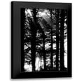 thumbnail image 1 of Berzel, Erin 13x18 Black Modern Framed Museum Art Print Titled - Light and Shadows II, 1 of 5