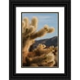 thumbnail image 1 of Berzel, Erin 13x18 Black Ornate Wood Framed with Double Matting Museum Art Print Titled - Cholla Cactus I, 1 of 4