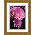 thumbnail image 1 of Berzel, Erin 13x18 Gold Ornate Wood Framed with Double Matting Museum Art Print Titled - Pink Gerbera Daisies IV, 1 of 4