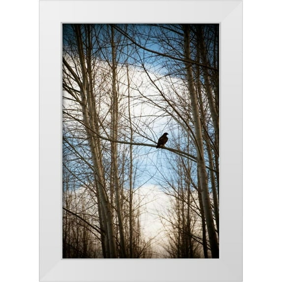 Berzel, Erin 13x18 White Modern Wood Framed Museum Art Print Titled - Hawk Silhouette
