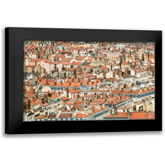 Berzel, Erin 14x11 Black Modern Framed Museum Art Print Titled - Lyon Rooftops II