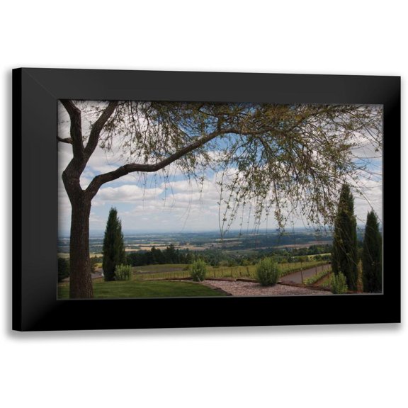 Berzel, Erin 14x11 Black Modern Framed Museum Art Print Titled - Vineyard Vista