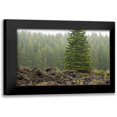 thumbnail image 1 of Berzel, Erin 14x11 Black Modern Framed Museum Art Print Titled - Willamette Natl Forest VI, 1 of 5