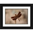 thumbnail image 1 of Berzel, Erin 14x11 Black Ornate Wood Framed with Double Matting Museum Art Print Titled - Dragonfly II, 1 of 4