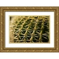 thumbnail image 1 of Berzel, Erin 14x11 Gold Ornate Wood Framed with Double Matting Museum Art Print Titled - Cactus Detail I, 1 of 4