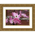thumbnail image 1 of Berzel, Erin 14x11 Gold Ornate Wood Framed with Double Matting Museum Art Print Titled - Dogwood Blossoms I, 1 of 4