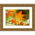 thumbnail image 1 of Berzel, Erin 14x11 Gold Ornate Wood Framed with Double Matting Museum Art Print Titled - Fall Leaves III, 1 of 4