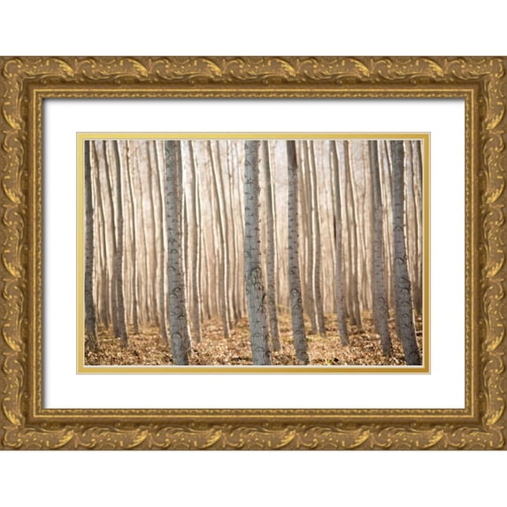 Berzel, Erin 14x11 Gold Ornate Wood Framed with Double Matting Museum Art Print Titled - Pacific Albus II