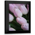 thumbnail image 1 of Berzel, Erin 17x24 Black Modern Framed Museum Art Print Titled - Soft Pink Tulips II, 1 of 5