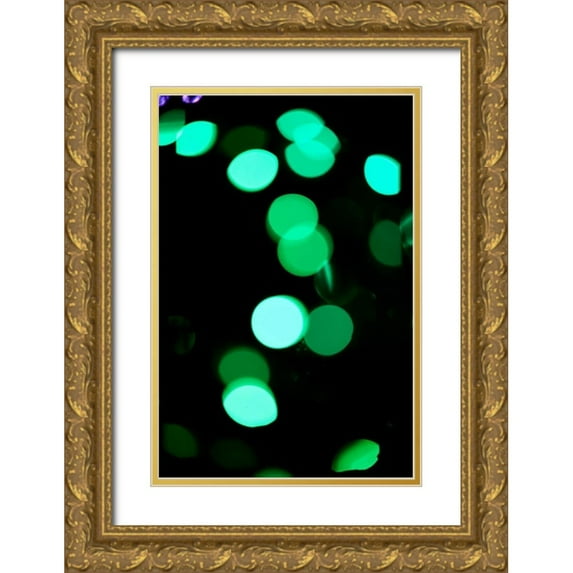 Berzel, Erin 17x24 Gold Ornate Wood Framed with Double Matting Museum Art Print Titled - Green Bokeh