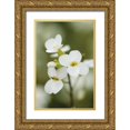 thumbnail image 1 of Berzel, Erin 17x24 Gold Ornate Wood Framed with Double Matting Museum Art Print Titled - Summer Bloom V, 1 of 4