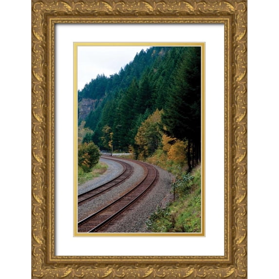 Berzel, Erin 17x24 Gold Ornate Wood Framed with Double Matting Museum Art Print Titled - Union Pacific VI