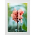 thumbnail image 1 of Berzel, Erin 17x24 White Modern Wood Framed Museum Art Print Titled - Pink Bloom I, 1 of 4