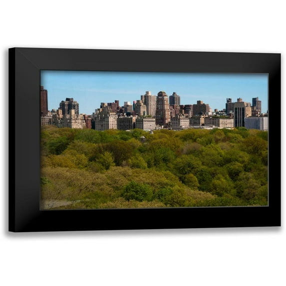 Berzel, Erin 18x13 Black Modern Framed Museum Art Print Titled - Central Park II