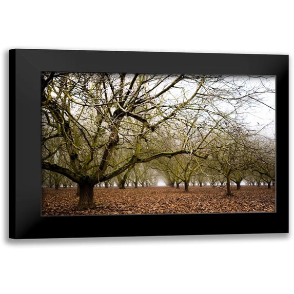 Berzel, Erin 18x13 Black Modern Framed Museum Art Print Titled - Hazel Tree Grove III