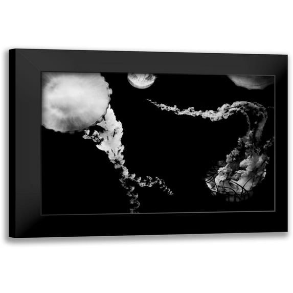 Berzel, Erin 18x13 Black Modern Framed Museum Art Print Titled - Jellyfish Glow VIII