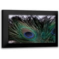 thumbnail image 1 of Berzel, Erin 18x13 Black Modern Framed Museum Art Print Titled - Peacock Feathers II, 1 of 5