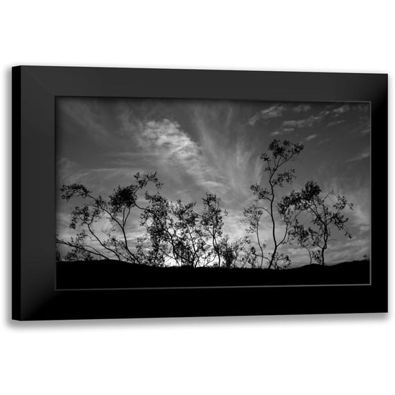 Berzel, Erin 18x13 Black Modern Framed Museum Art Print Titled - Sunset Silhouette II