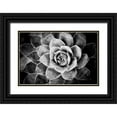 thumbnail image 1 of Berzel, Erin 18x13 Black Ornate Wood Framed with Double Matting Museum Art Print Titled - Monochrome Succulent V, 1 of 4
