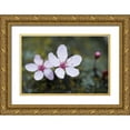 thumbnail image 1 of Berzel, Erin 18x13 Gold Ornate Wood Framed with Double Matting Museum Art Print Titled - Portland Cherry Blossom II, 1 of 4