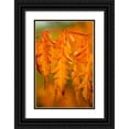 thumbnail image 1 of Berzel, Erin 23x32 Black Ornate Wood Framed with Double Matting Museum Art Print Titled - Fall Leaves I, 1 of 4