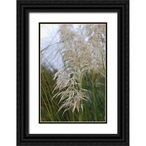 Berzel, Erin 23x32 Black Ornate Wood Framed with Double Matting Museum Art Print Titled - Native Grass II