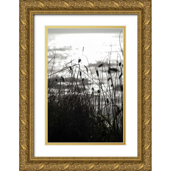Berzel, Erin 23x32 Gold Ornate Wood Framed with Double Matting Museum Art Print Titled - Coastal Grass II