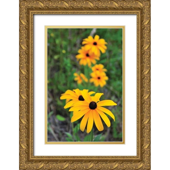 Berzel, Erin 23x32 Gold Ornate Wood Framed with Double Matting Museum Art Print Titled - Daisy Trail