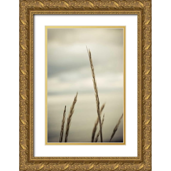 Berzel, Erin 23x32 Gold Ornate Wood Framed with Double Matting Museum Art Print Titled - Whidbey Grass IV