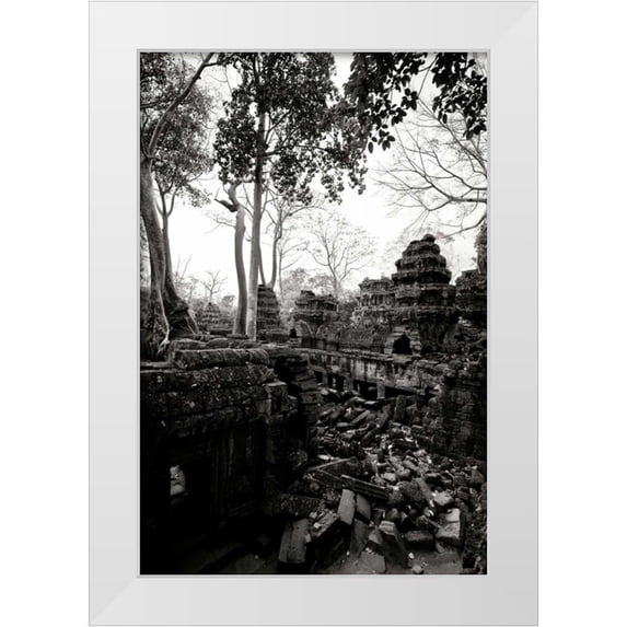 Berzel, Erin 23x32 White Modern Wood Framed Museum Art Print Titled - Ancient Ta Prohm IV