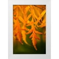 thumbnail image 1 of Berzel, Erin 23x32 White Modern Wood Framed Museum Art Print Titled - Fall Leaves II, 1 of 4