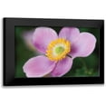 thumbnail image 1 of Berzel, Erin 24x17 Black Modern Framed Museum Art Print Titled - Anemone II, 1 of 5