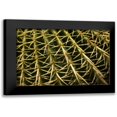 thumbnail image 1 of Berzel, Erin 24x17 Black Modern Framed Museum Art Print Titled - Cactus Detail II, 1 of 5