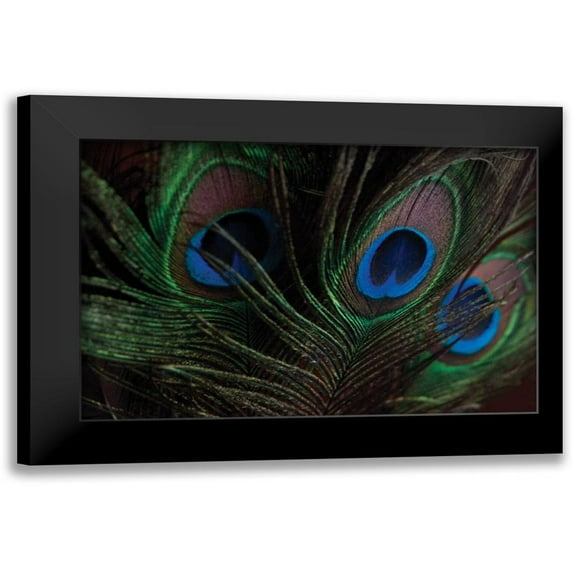 Berzel, Erin 24x17 Black Modern Framed Museum Art Print Titled - Peacock Feathers I