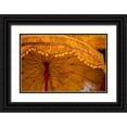 thumbnail image 1 of Berzel, Erin 24x17 Black Ornate Wood Framed with Double Matting Museum Art Print Titled - Banteay Kdei Umbrella, 1 of 4