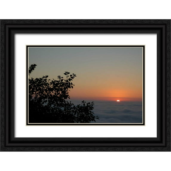 Berzel, Erin 24x17 Black Ornate Wood Framed with Double Matting Museum Art Print Titled - Sunset Silhouette II