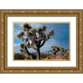 thumbnail image 1 of Berzel, Erin 24x17 Gold Ornate Wood Framed with Double Matting Museum Art Print Titled - Joshua Tree VI, 1 of 4