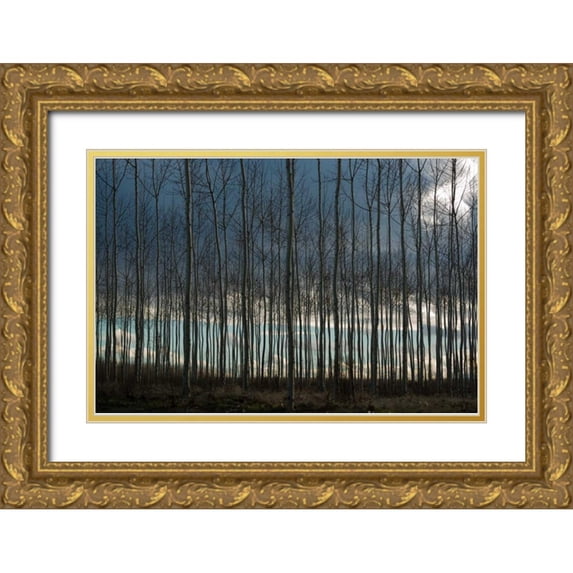 Berzel, Erin 24x17 Gold Ornate Wood Framed with Double Matting Museum Art Print Titled - Pacific Albus and Clouds II