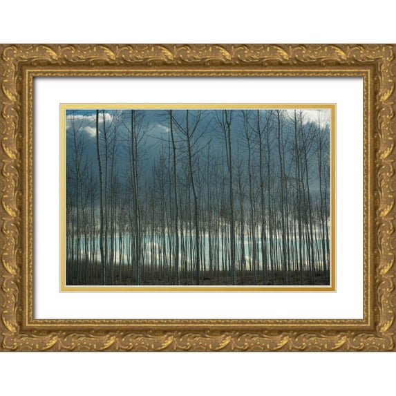 Berzel, Erin 24x17 Gold Ornate Wood Framed with Double Matting Museum Art Print Titled - Pacific Albus and Clouds I
